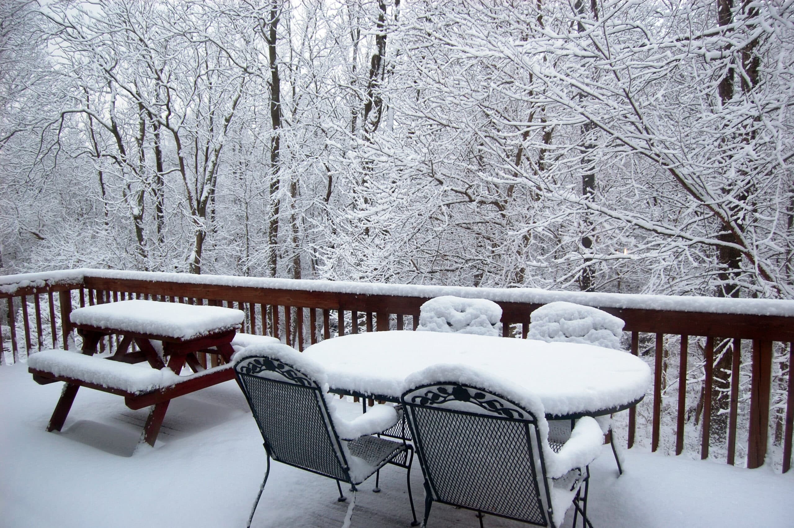 Covered Decks - fresh snow on the deck with trees covered in snow in the background